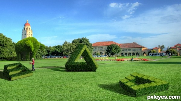 Illusion Garden